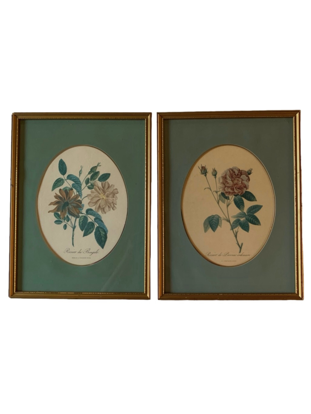 Two Vintage Framed Botanical Floral Prints, Green & Gold